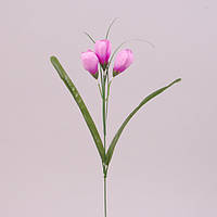 Цветок Крокус розовый 73279