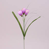 Цветок Крокус светло-фиолетовый 73280