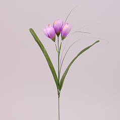 Квітка Крокус світло-фіолетова 73280