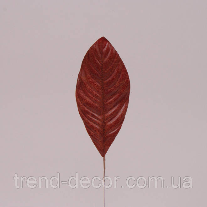 Лист Філодендрона коричневий 71850