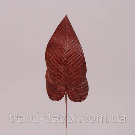 Лист Філодендрона коричневий 71866, фото 2