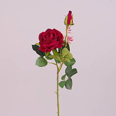 Квітка Троянда червона 73284