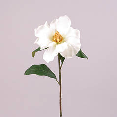 Квітка Магнолія біла 73312