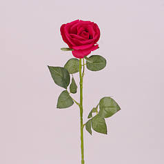 Квітка Троянда червона 73283