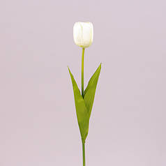 Квітка Тюльпан біла 71476