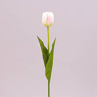 Цветок Тюльпан кремово-розовый 71477