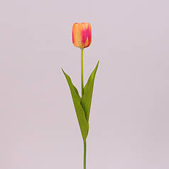 Квітка Тюльпан оранжева 71478