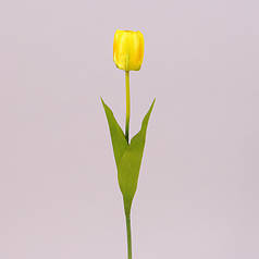 Квітка Тюльпан жовта 71479