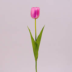 Квітка Тюльпан рожева 71480
