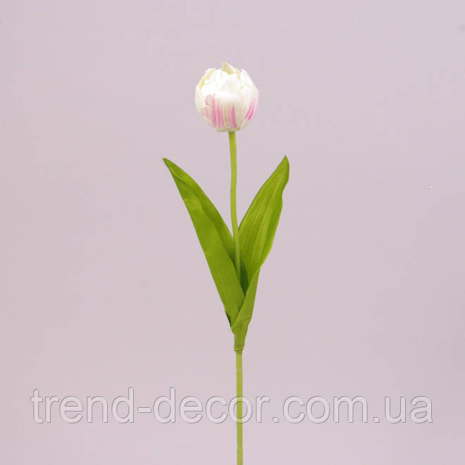 Квітка Тюльпан кремово-рожева 71483