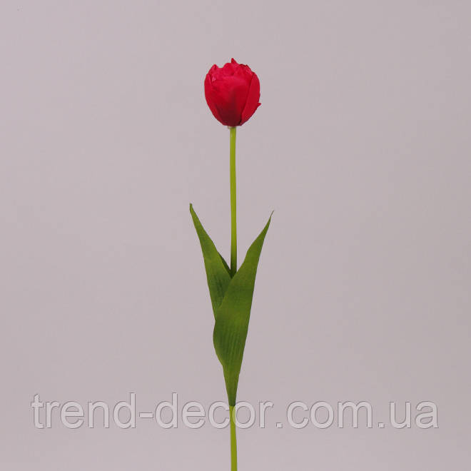 Квітка Тюльпан червона 71484