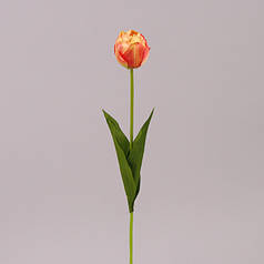 Квітка Тюльпан жовто-червона 71486