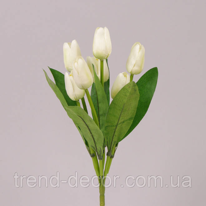 Букет Тюльпанів білий 71498