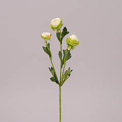 Квітка Камелія кремово-зелена 71567