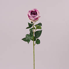 Квітка Троянда фіолетова 72100