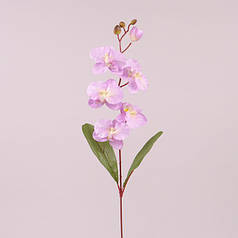 Квітка Фаленопсис світло-фіолетова 73019