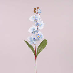 Квітка Фаленопсис блакитна 73020