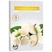 Свеча таблетка ароматическая Blooming jasmine, Bispol. В упаковке 6 шт. Польша.(48)