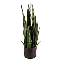 Искусственное растение Engard Sansevieria 65 см (DW-10)