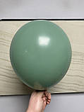 Латексна кулька Шалфей Sage 12" (30см) Kalisan, фото 2