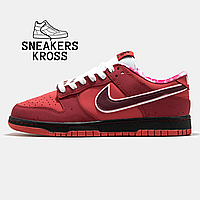 Мужские кроссовки Nike SB Dunk Low Red Lobster, Найк СБ Данк Красные, Nike dunk premium