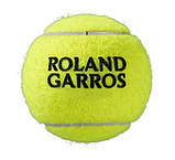 М'ячі тенісні Wilson Roland Garros ALL СT 3 BALL WRT126400 (3 шт.), фото 5