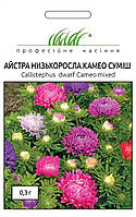 Низькорпосла Камео суміш насіння айстри 0.3 г