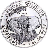 Серебряная монета 1oz Слон 100 шиллингов 2021 Сомали