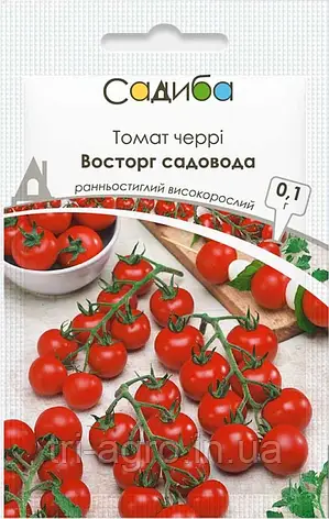 Томат Восторг садовода 0,1г СЦ, фото 1