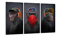 Модульная картина "Три мудрые обезьяны" Art-480_3 (100х53см) Poster-land