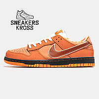 Женские кроссовки Nike x Concepts SB Dunk Low Orange Lobster, Найк СБ Данк Оранжевые, Nike dunk premium 37