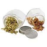 Спраутер Eschenfelder пророщувач зерен та насіння: 2 банки на 750 мл, фото 7