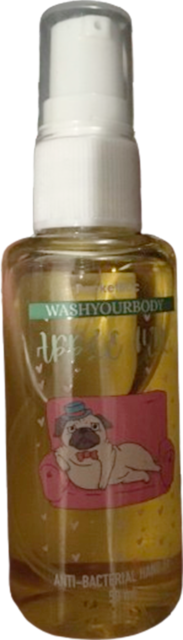 Антисептик для рук PocketBac WashYourBody 50 мл