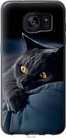 Чехол силиконовый Endorphone Samsung Galaxy S7 Edge G935F Дымчатый кот (825u-257-26985)
