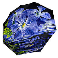Женский зонт-автомат в подарочной упаковке с платком от Rain Flower черный с синими цветами 01020-3