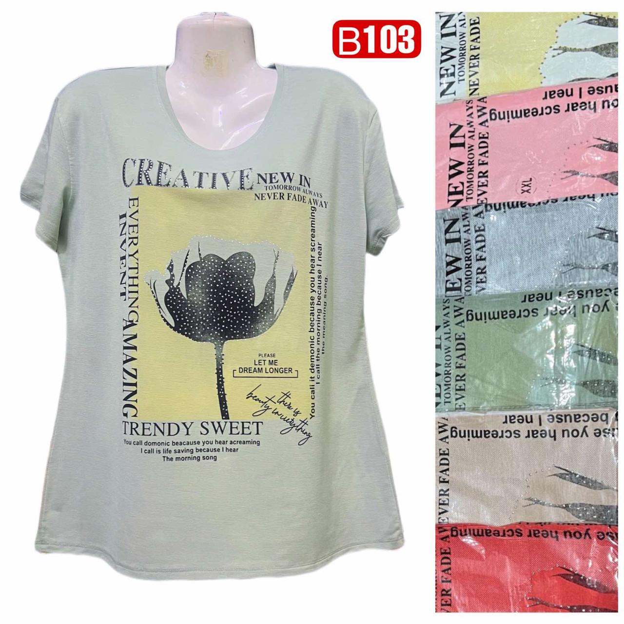 Жіноча футболка бавовна розмір норма 2XL-5XL (46-54) Мікс колір (від 5 шт.)