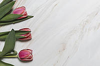Белый мрамор с розовыми тюльпанами - виниловый фотофон
