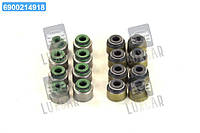 Сальник клапана IN/EX (компл.) HONDA F18B2/F20A/K20A/N22A1/N22A2/F20Z1 (8PCS+8PCS) (пр-во Elring) 084.300 UA64