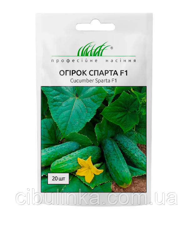 Огірок Спарта F1 (до морозів) Nunhems/Нідерланди 20 шт, фото 1