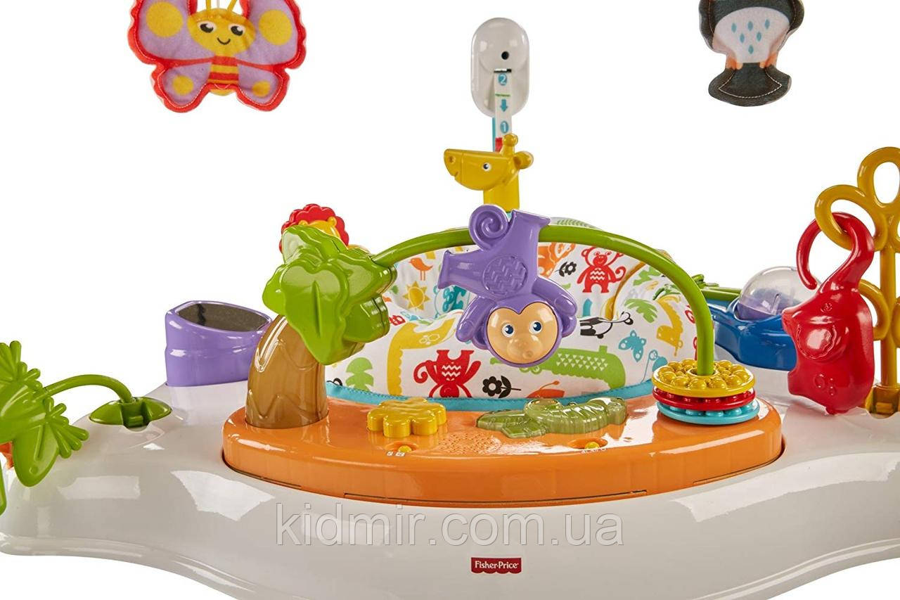 Fisher-Price Animal Activity FFJ00 Прыгунки кресло-прыгунки Веселые животные - фото 9 - id-p2097294845