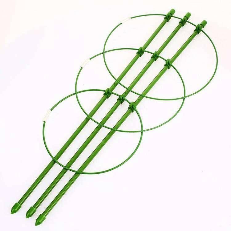 Підпорка для рослин Herbgarden Flower Support h75 cm 28cm