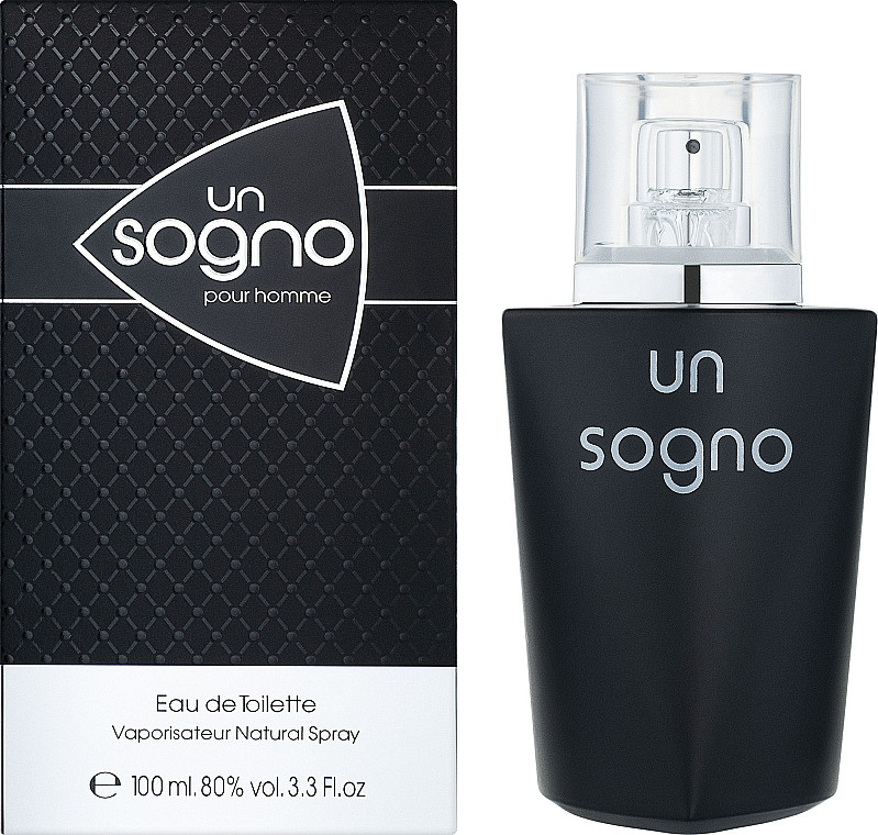 Туалетна вода Dina Cosmetics Un Sogno Pour Homme для чоловіків — edt 100 ml