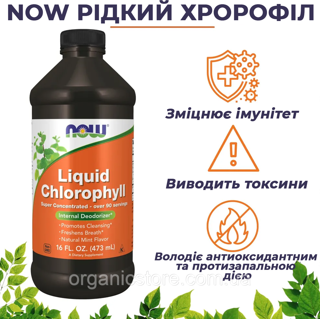 Рідкий хлорофіл, NOW Foods, аромат натуральної м'яти, 473 мл