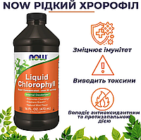 Рідкий хлорофіл, NOW Foods, аромат натуральної м'яти, 473 мл