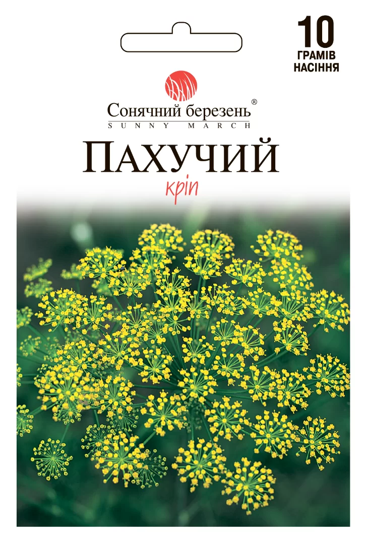 Насіння кропу Пахучий,10гр