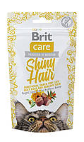 Функциональные принадлежности Brit Care Shiny Hair с лососем д/котов, 50г