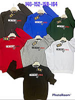 Кофта для хлопчика 146-164