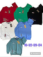 Кофта для хлопчиків  116-134
