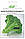 Насіння капусти Броколі Монако 15 шт. Syngenta, фото 2