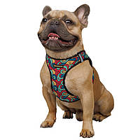 Мягкая шлейка для собак малых и средних пород Нейлоновая светоотражающая с принтом Sport Vest Витраж